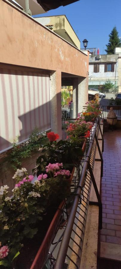 Elisa E Carla House Beautiful Apartments On The Cassia Rome Luaran gambar