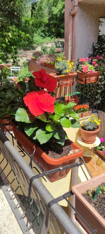 Elisa E Carla House Beautiful Apartments On The Cassia Rome Luaran gambar